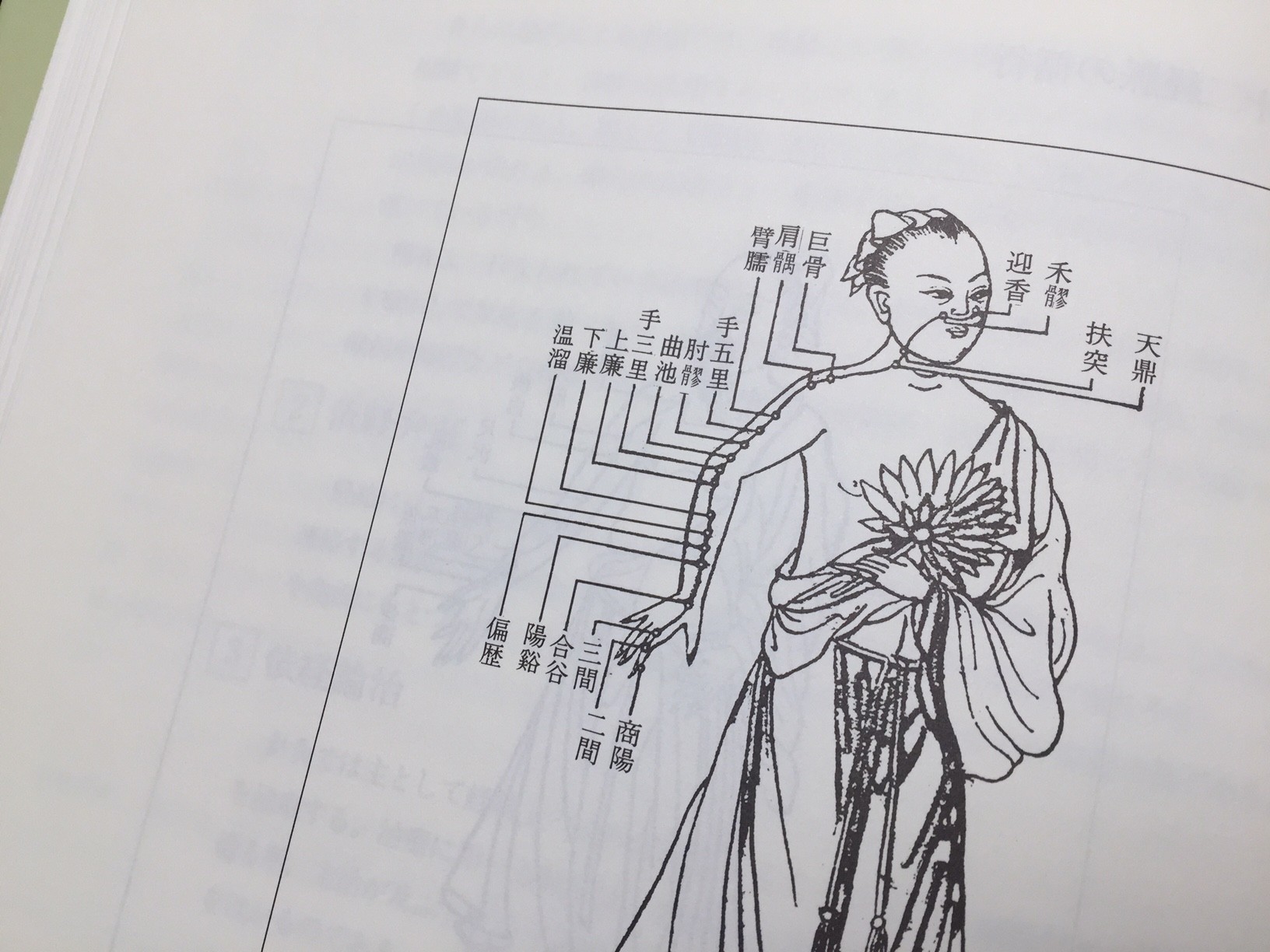 �͂肫�イ,����,�I���@,���,����,�Q���얇����ؐےÖL�����c���{�����s,����,�A�����M�[,�A�g�s�[,������,,�w�b�h�P�A,���R�~,